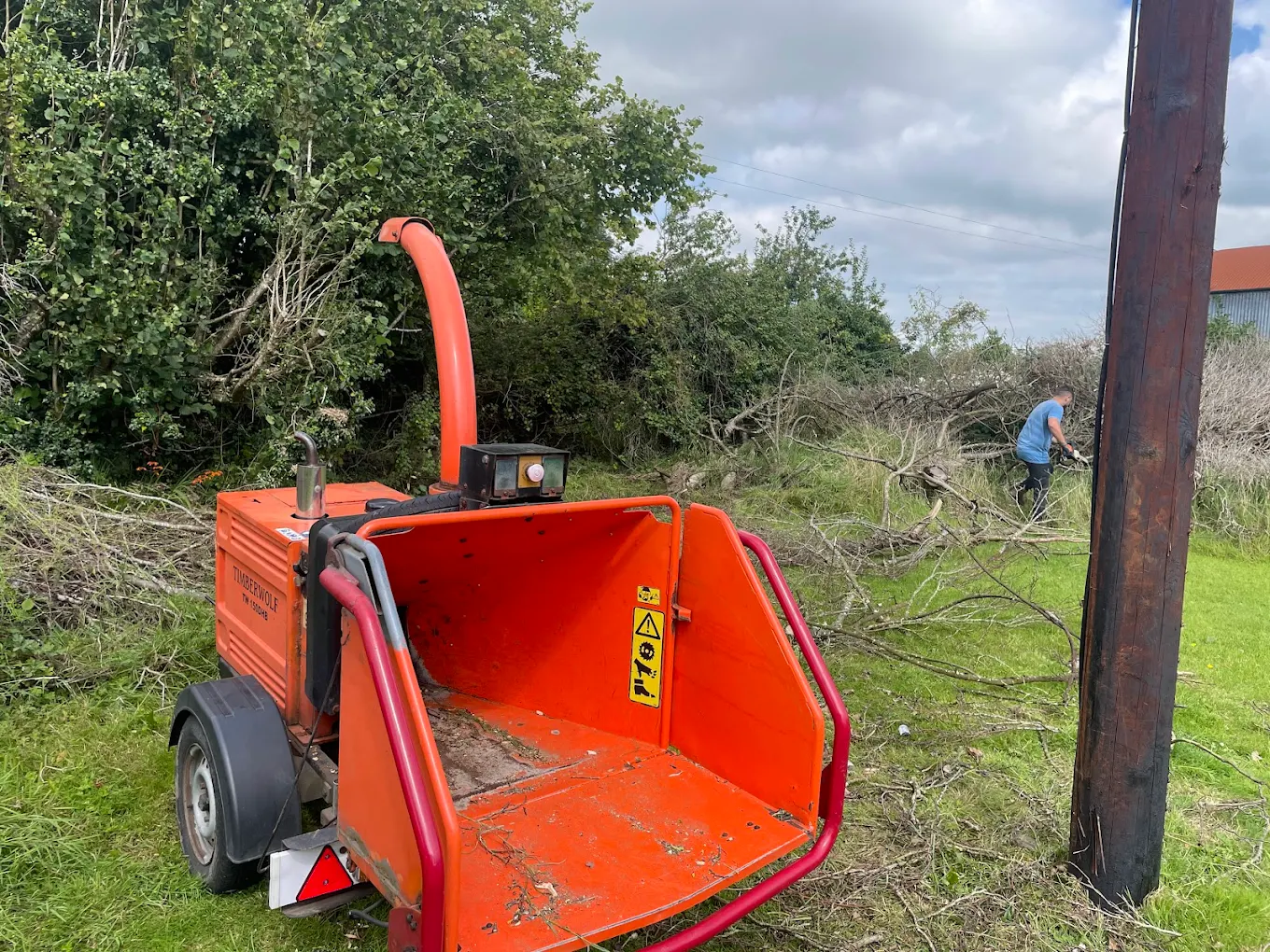 Planting, Clear Outs & Landscaping